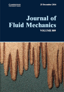Segregation-induced finger formation in granular free-surface flows on the cover of JFM 809