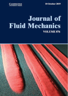 Self-channelisation and levee formation in monodisperse granular flows on the cover of JFM 876