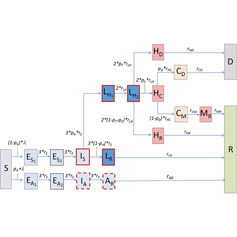 Schematic representation of the EpiBeds model