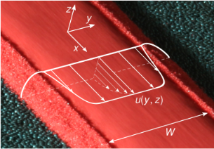 Photo of a leveed channel. (C. Johnson)